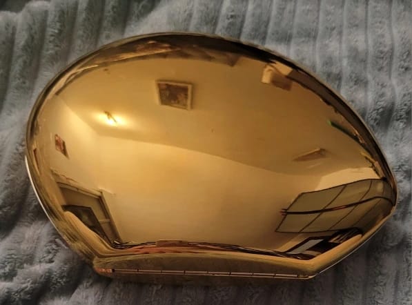 Customer photo review of Celeste Shell Shape Evening Clutch