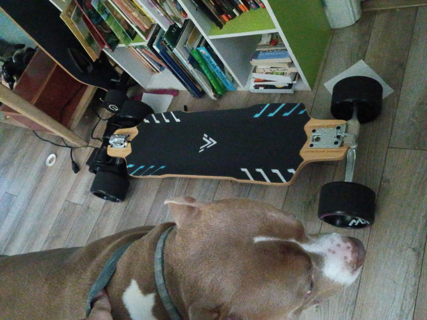 Customer photo review of Acedeck® Stella S3 Breeze Electric Longboard-Powerful& Long Range