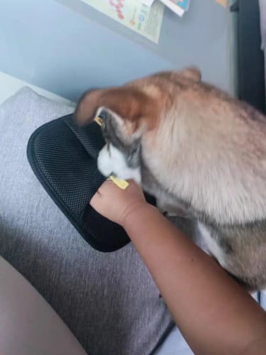 Customer photo review of Fellwunder Handschuh