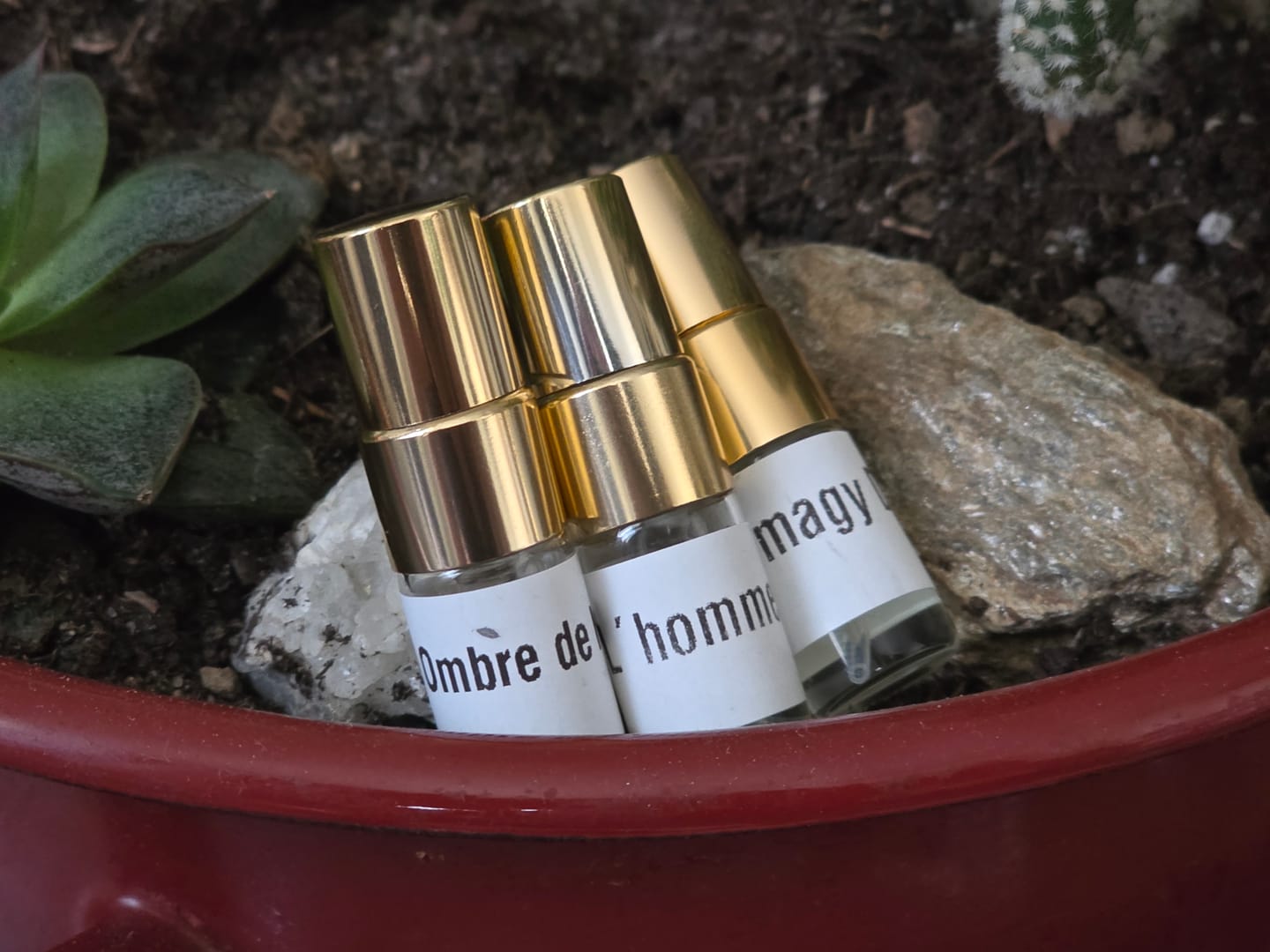 Customer photo review of 6er Proben Bundle