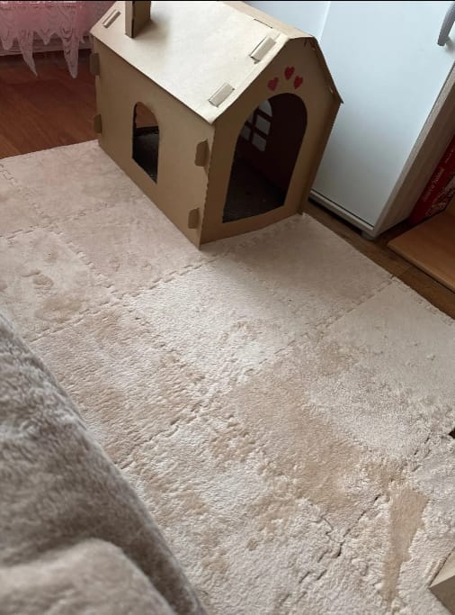 Customer photo review of Pet-Mat