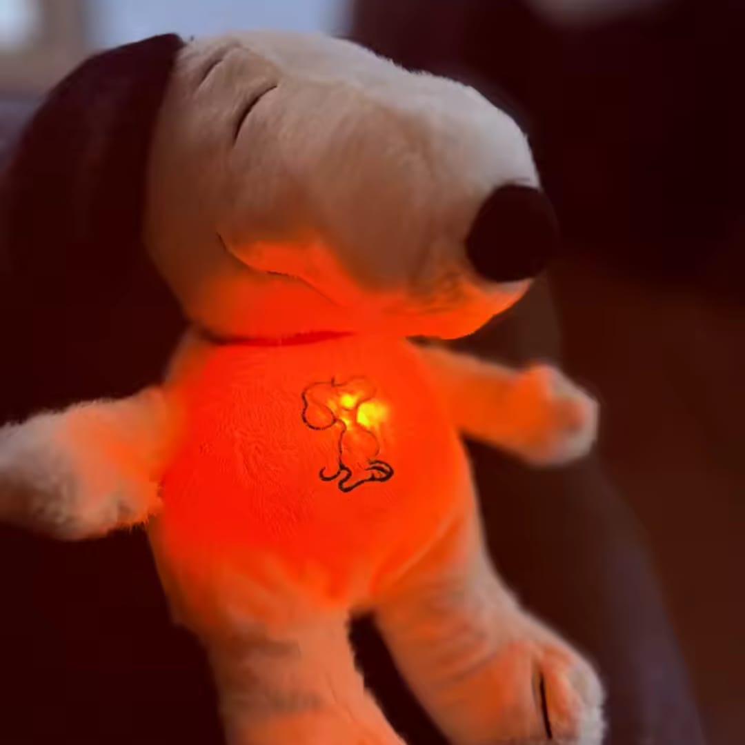 Customer photo review of Lumi – Your Calm & Sleep Companion