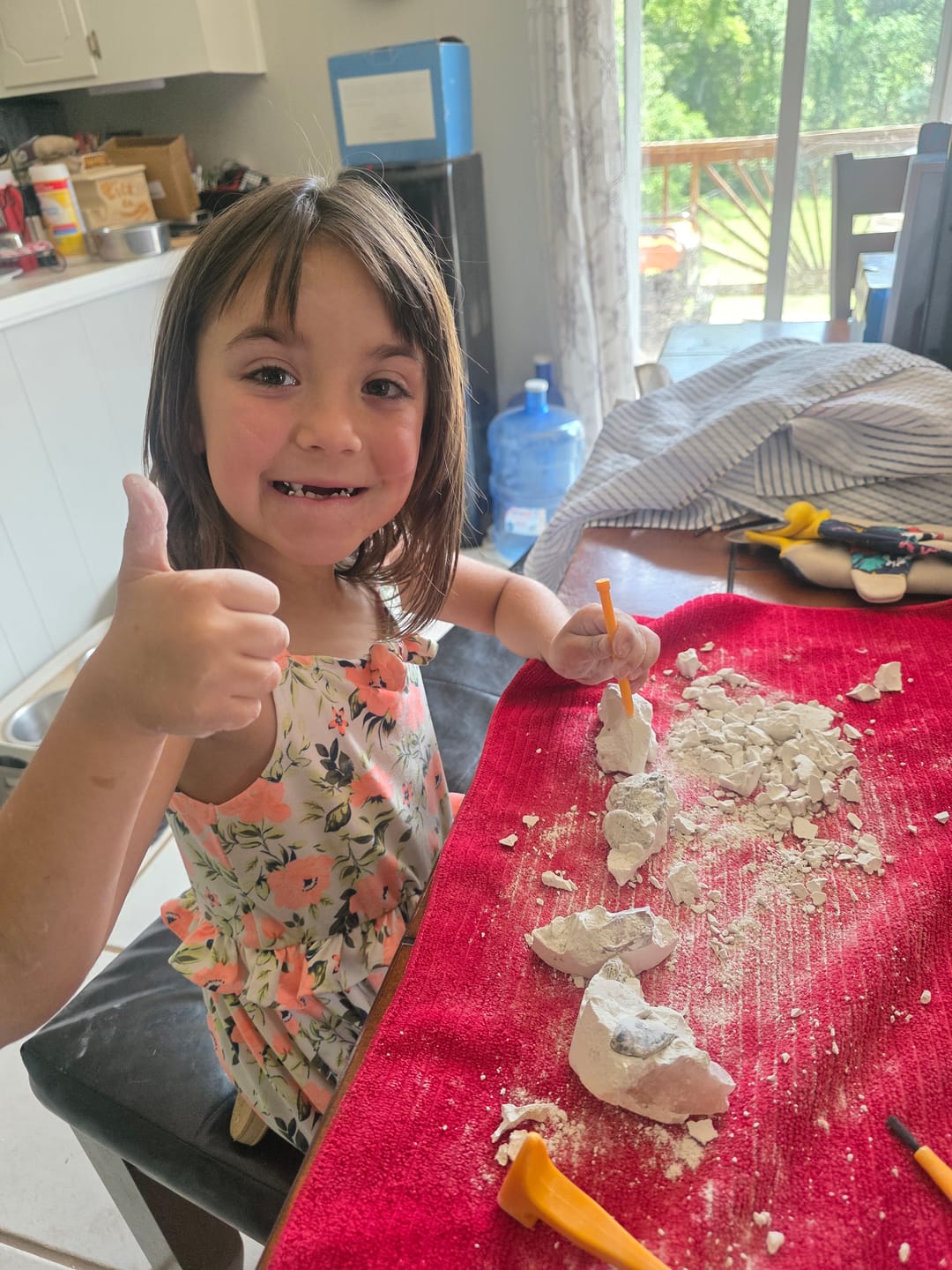 Customer photo review of Gem Safe - Shipping Insurance