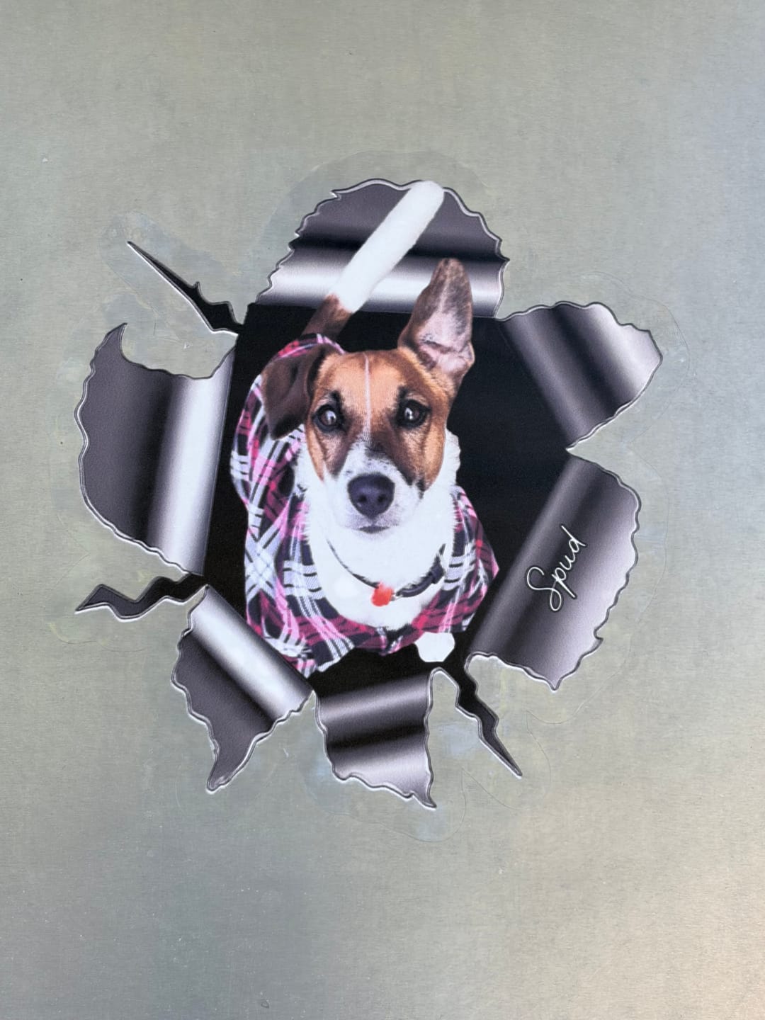Customer photo review of Custom Photo RV Decal - Personalized Birthday Gifts For Dog Cat Lovers