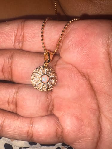 Customer photo review of VAILA