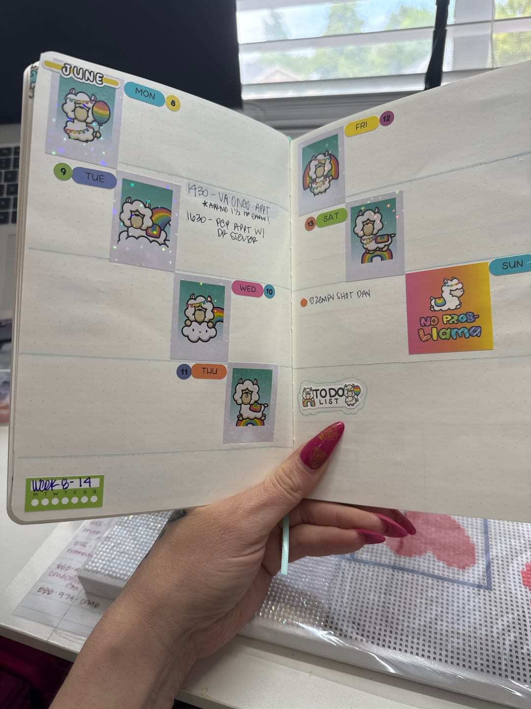 Customer photo review of Ultimate Subscription
