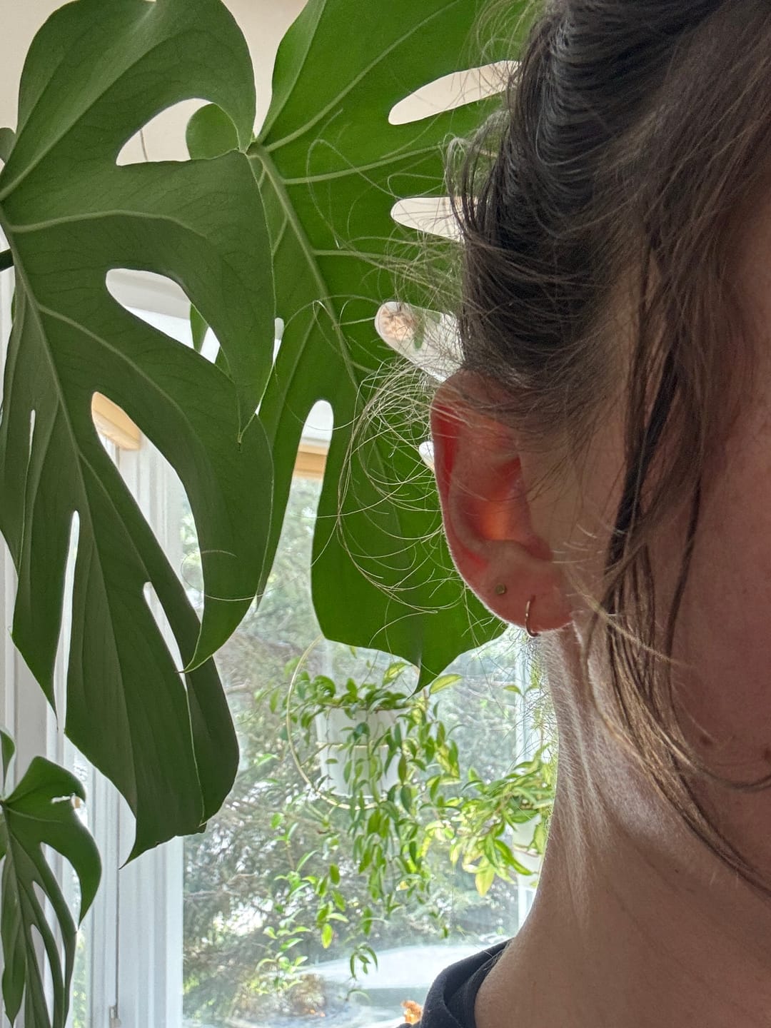 Customer photo review of Tiny Circle Nap Studs