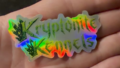 Customer photo review of 100 2.5" Custom Holographic Stickers