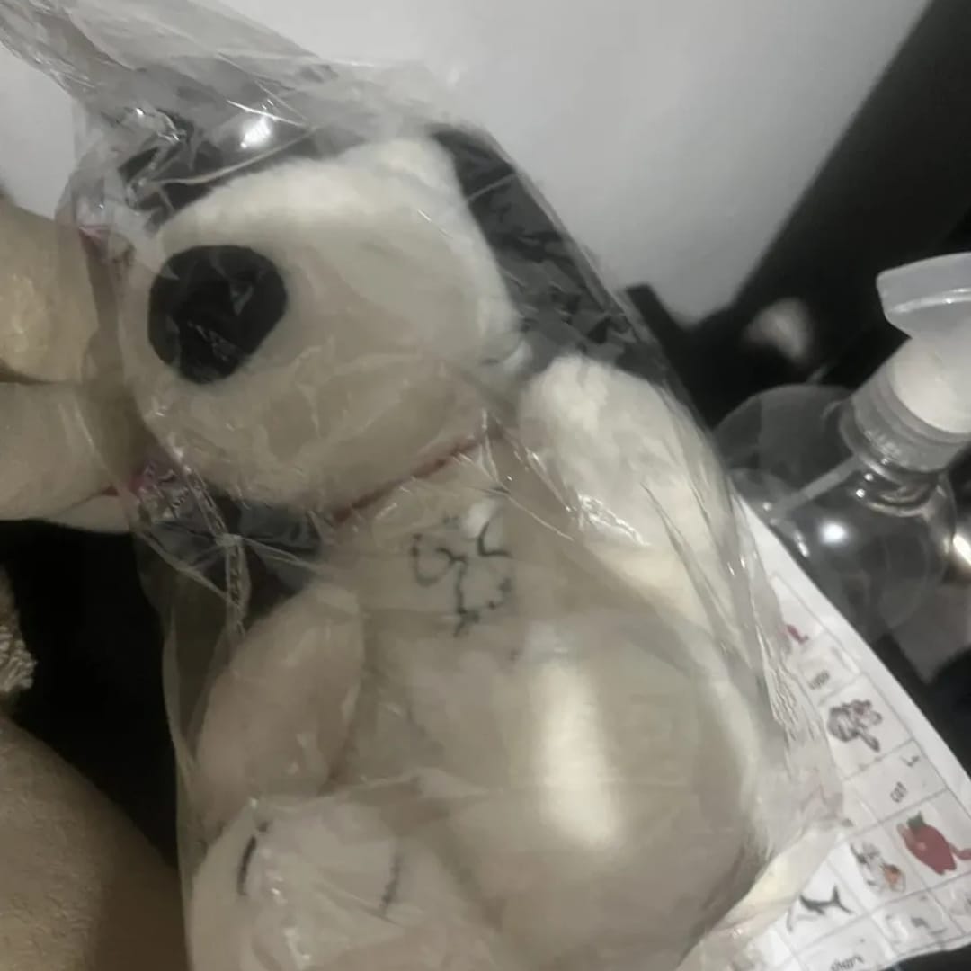 Customer photo review of Lumi – Your Calm & Sleep Companion
