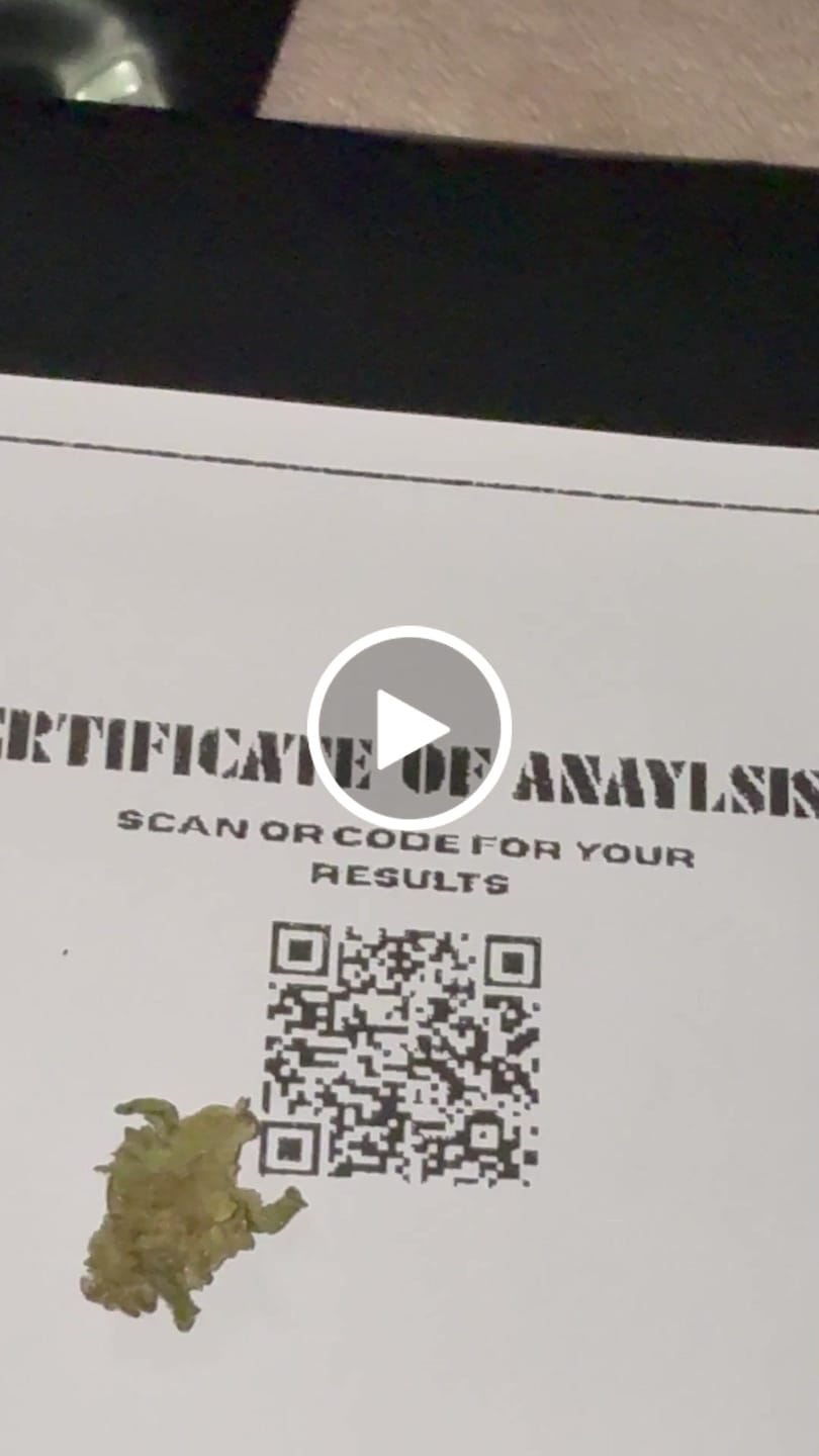 Customer video review of Granddaddy Purple - 28 Grams - Indica