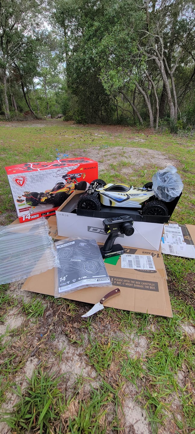 Customer photo review of Rlaarlo 1/8 4WD Buggy Dragon Scale Knight | DSK RTR