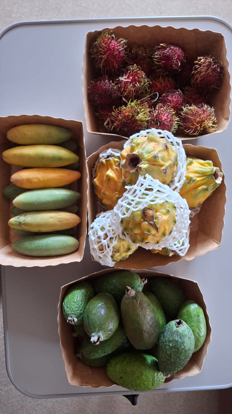 Customer photo review of Rambutan naturbelassen