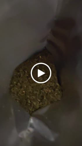 Customer video review of 💎RS11 - Diamond Infused Shake 1oz (Buy 1 Get 1)