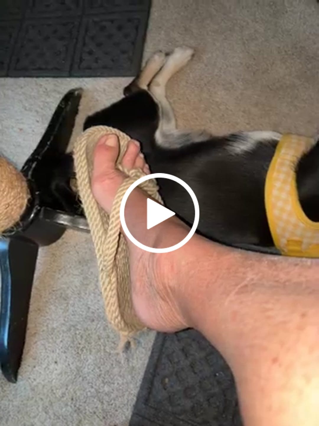 Customer video review of the drifter-thong style with sole-CAMEL