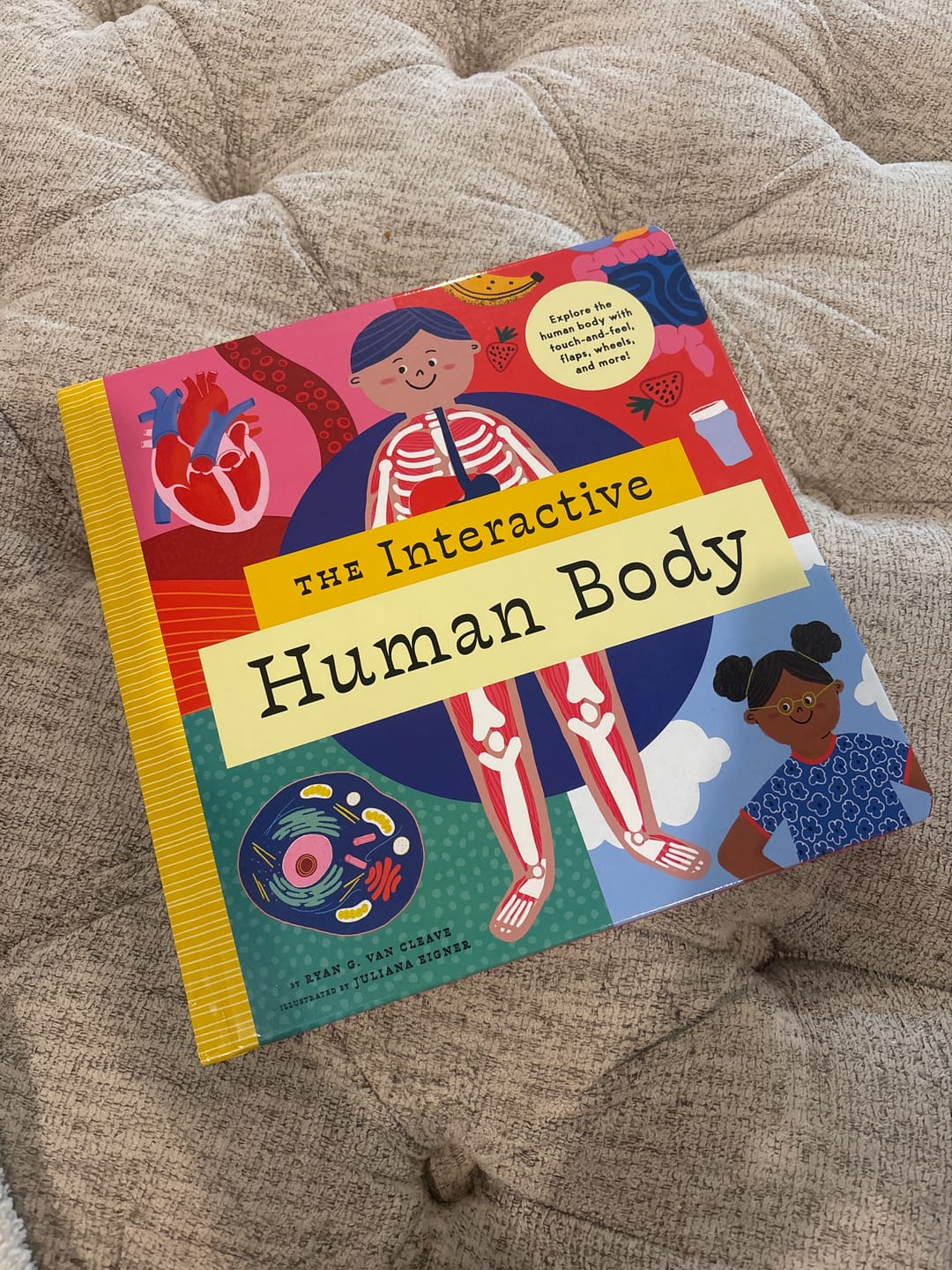 Customer photo review of The Interactive Human Body