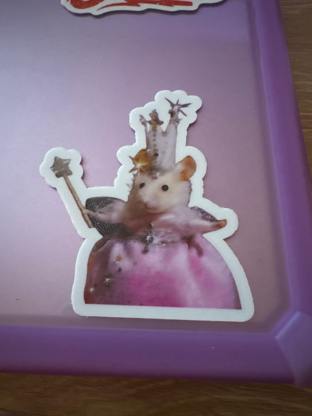 Customer photo review of Princess Fairy Mouse Sticker