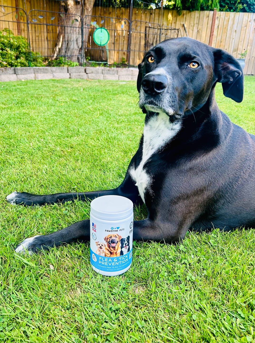 Customer photo review of Flea and Tick Prevention for Dogs – 120 Soft Chews