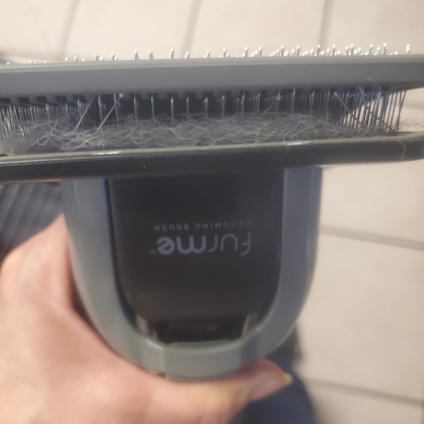 Customer photo review of Slicker Brush Attachment for Grooming Vacuum