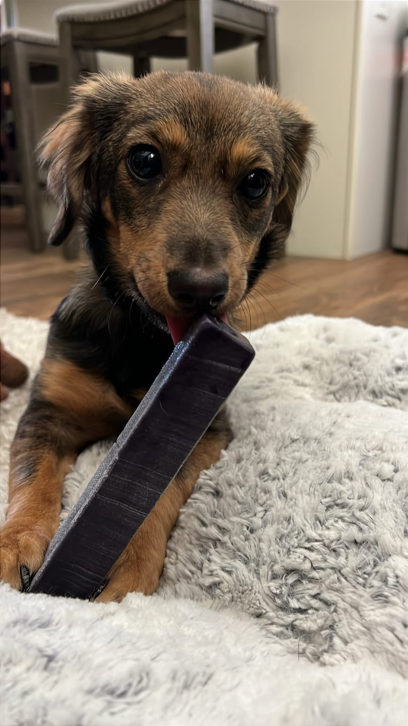 Customer photo review of Long-Lasting Yak Chews — 4 Flavor Pack
