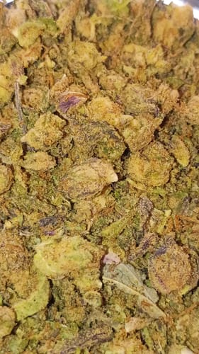 Customer photo review of Blue Cookies THCA Trim