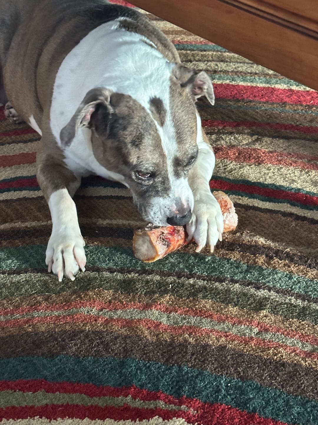 Customer photo review of Smoked Dinosaur Bones
