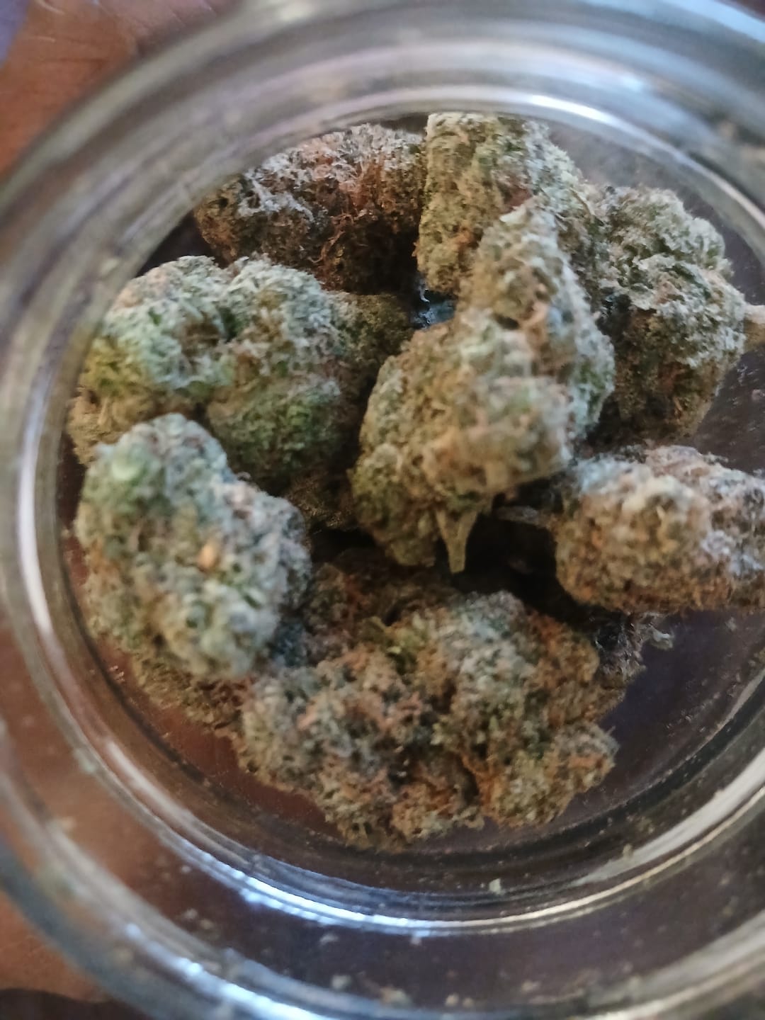 Customer photo review of Boutique Exotics Lemon Dior - Bulk - Hybrid