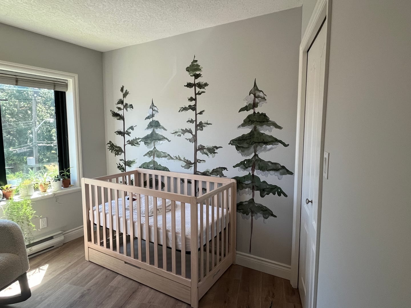 Customer photo review of Large Watercolor Pine Tree Removable Wall Decal