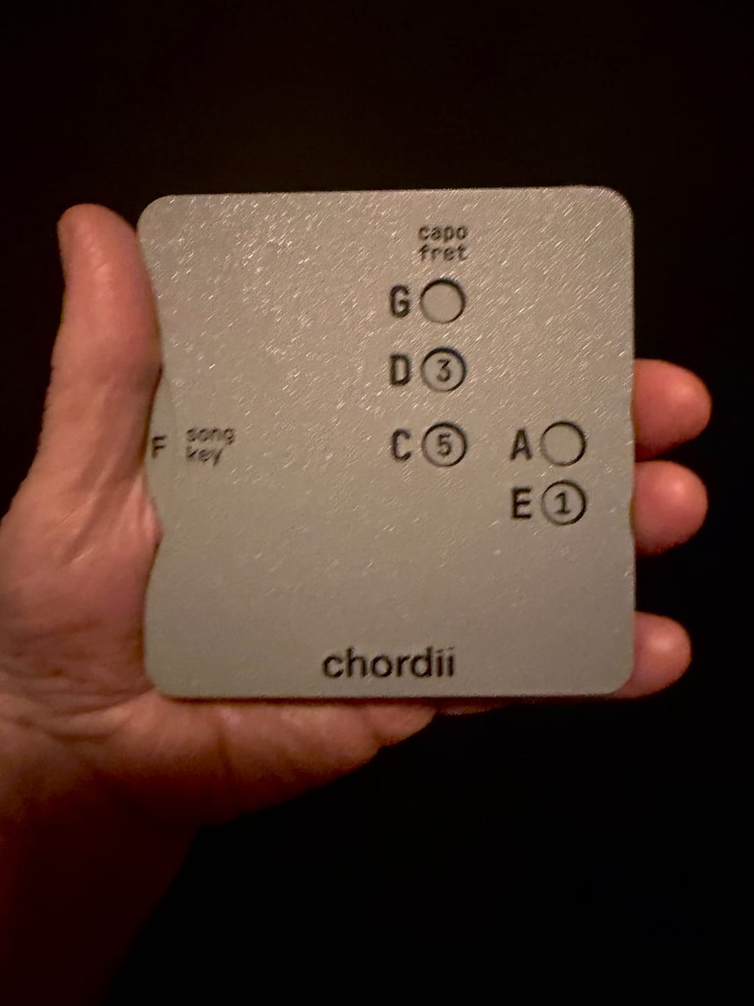 Customer photo review of Chordii — Capo Guide