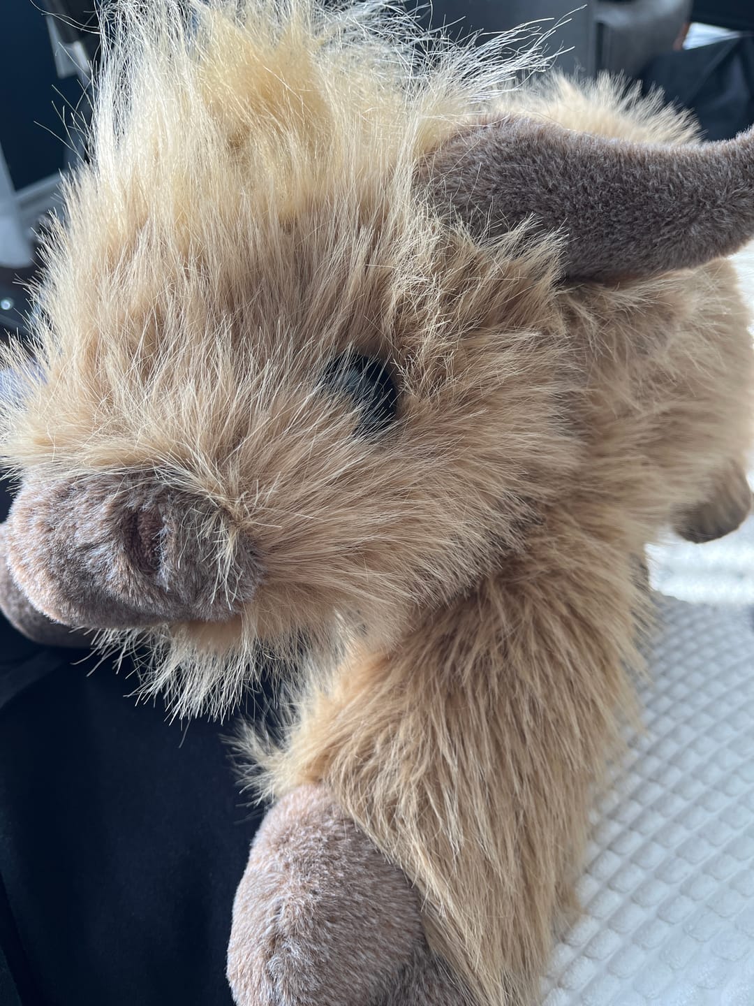 Customer photo review of Highland Cow Weighted Heated Plush