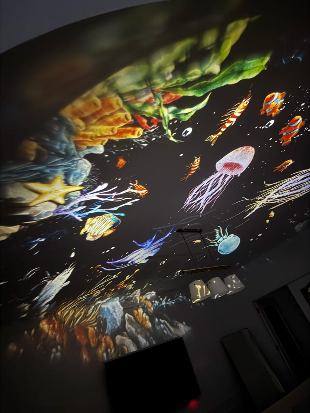 Customer photo review of Projecteur Celestia
