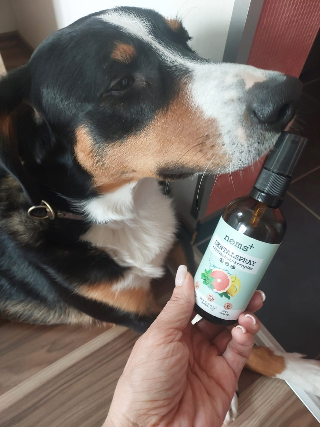 Customer photo review of Dentalspray bei Zahnstein für Hunde und Katzen