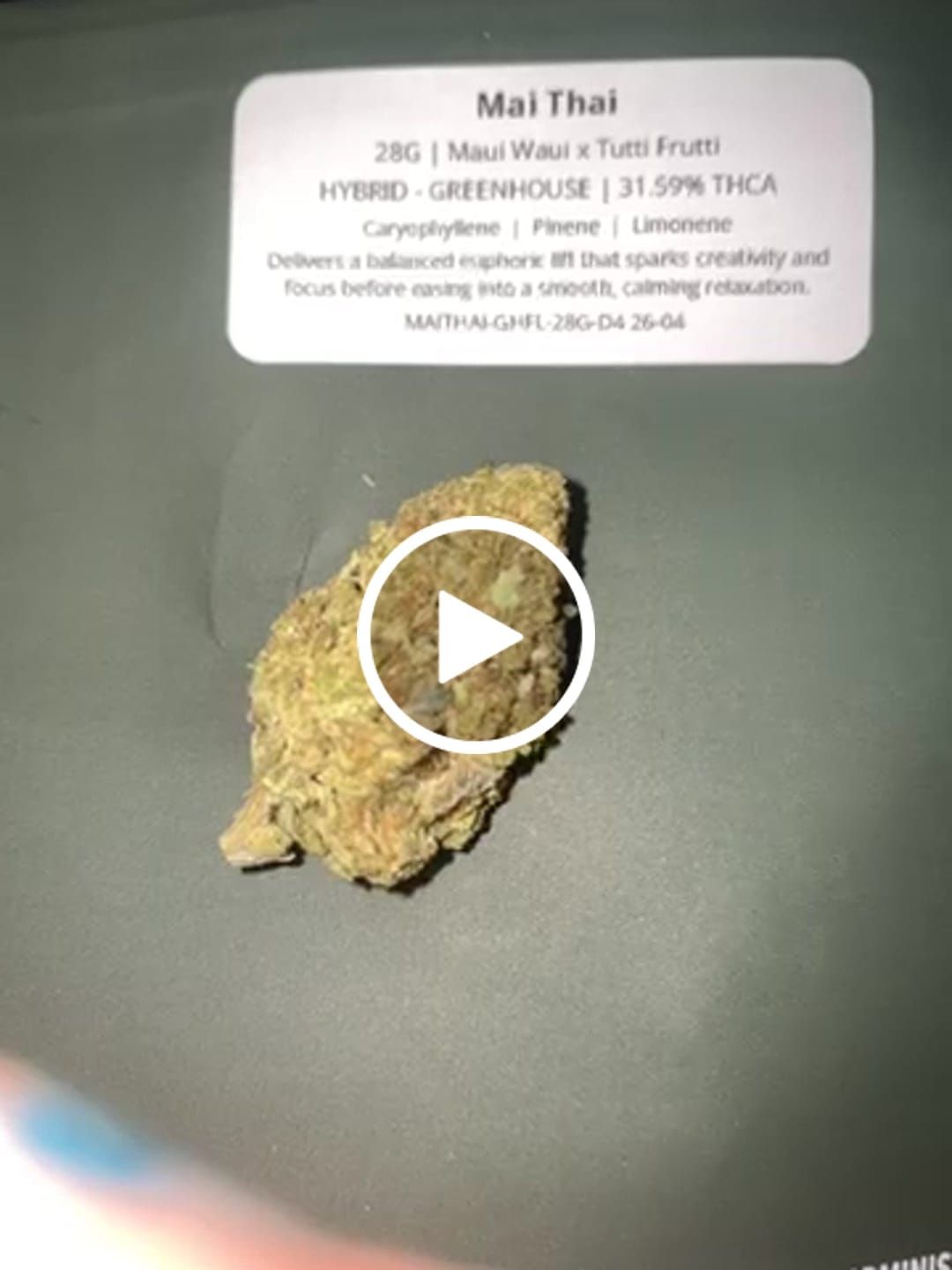 Customer video review of Mai Thai