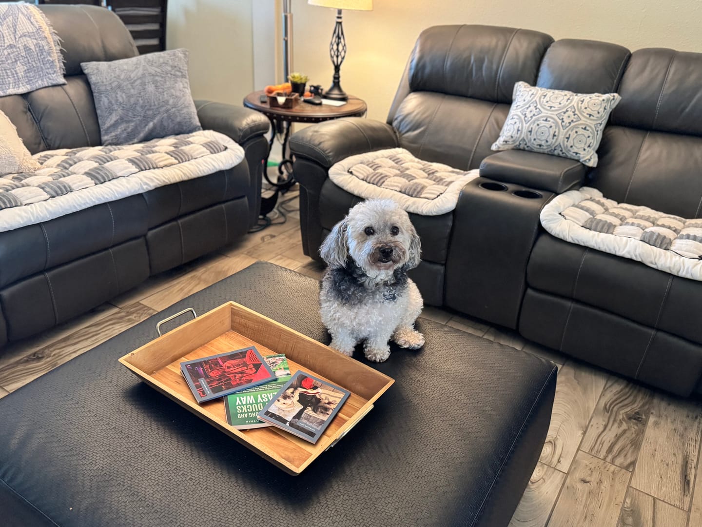 Customer photo review of NEW 2-in-1 Furniture Protector & Dog Bed Couch Cover with Thick Orthopedic Padding, Non-Slip Grip, Scratch-Resistant Surface & Machine-Washable Fabric