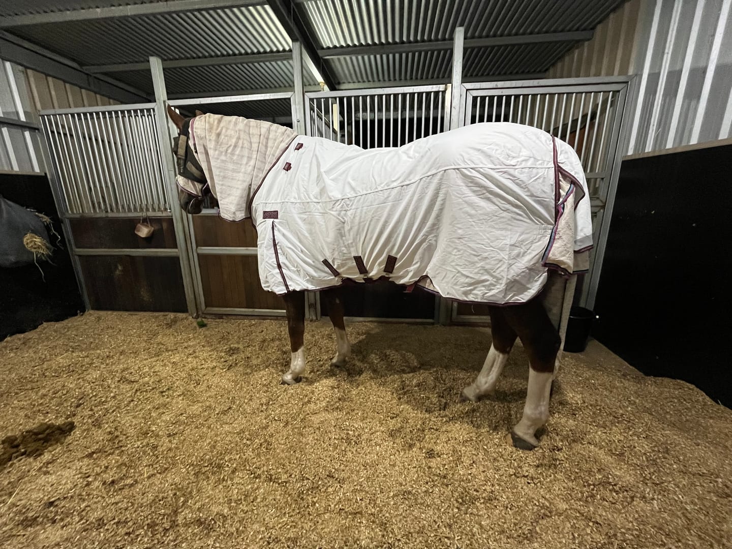 Customer photo review of LE Canberra Fleece-Lined Sheet with Fieldsafe Front
