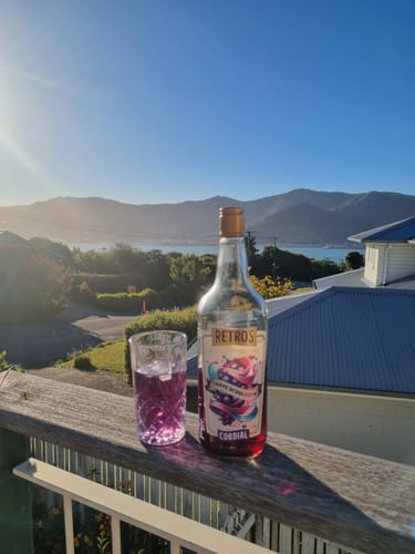 Customer photo review of Retro’s Grape Bubblegum Cordial 1L
