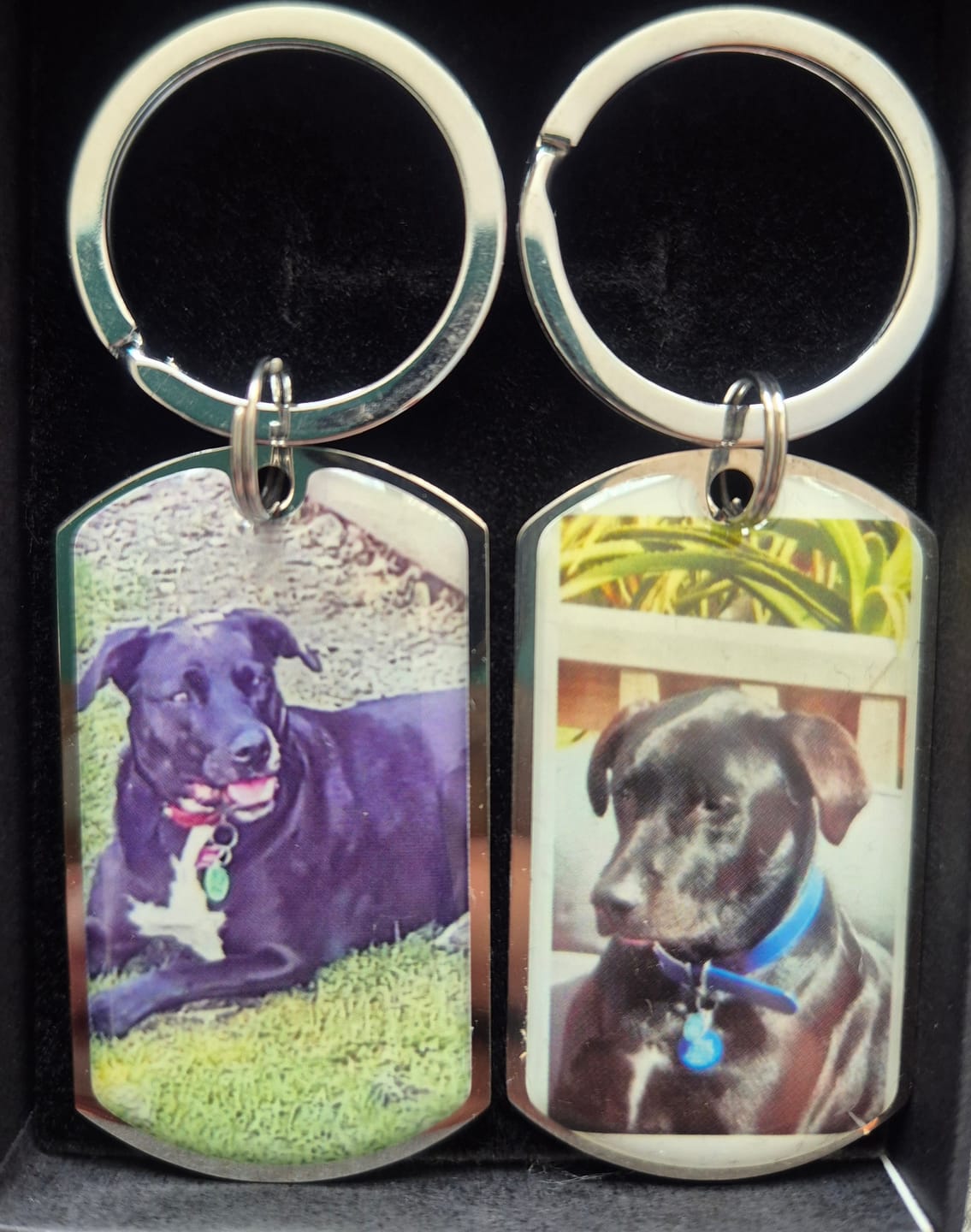 Customer photo review of Personalized Pet Keychain