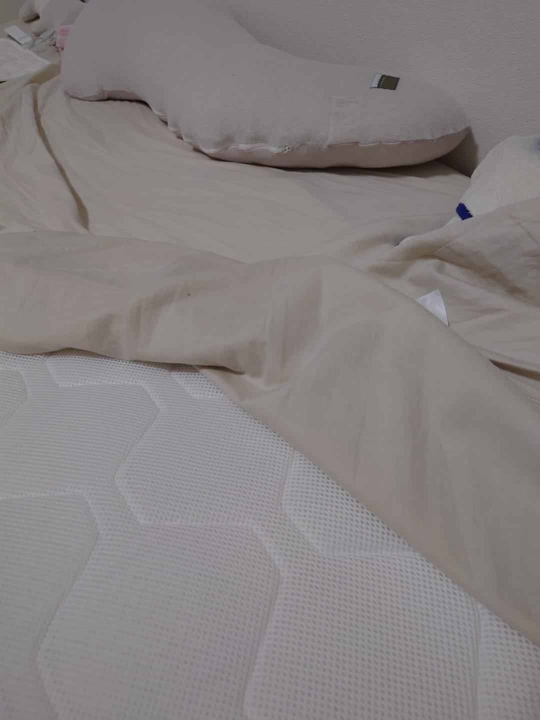 SLEEP HEXAGON 上位版ホルミシスポータブルパッド – SLEEP HEXAGON