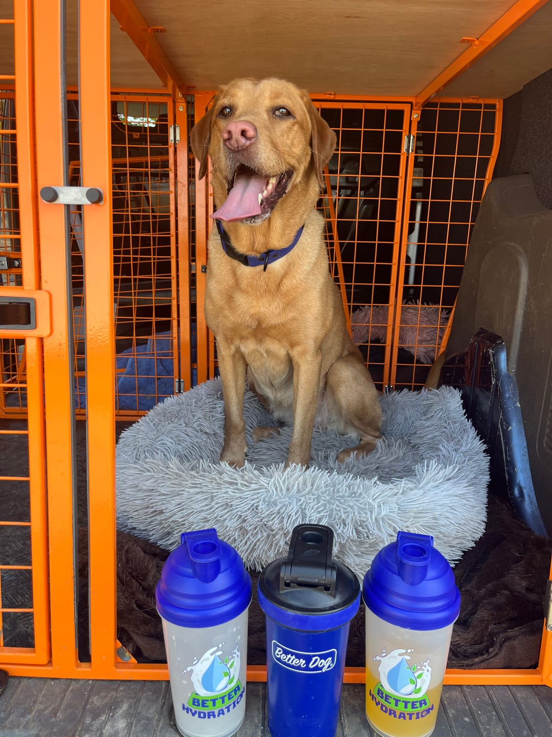 Customer photo review of Better Hydration Metal Shaker