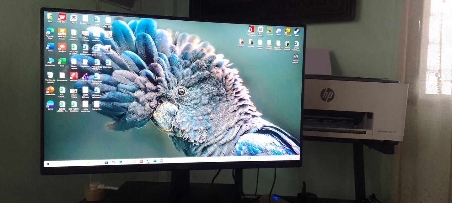 Customer photo review of Monitor MSI Pro MP242L 24" - FHD 1920x1080 - 100Hz - IPS - HDMI DP - Anti-Glare - Negro 9S6-3PD5CT-004