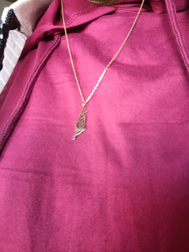 Reviewer wearing the gold-colored Palestine Map Necklace against their magenta hoodie.