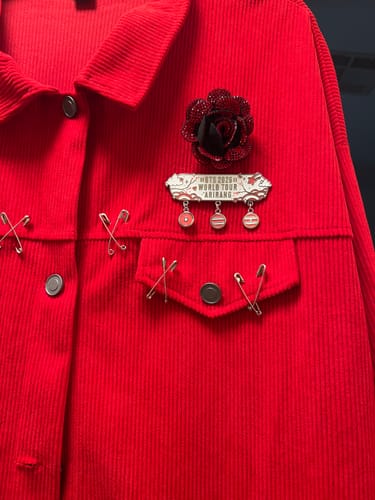 Customer photo review of BTS 2026 Arirang Tour Pin