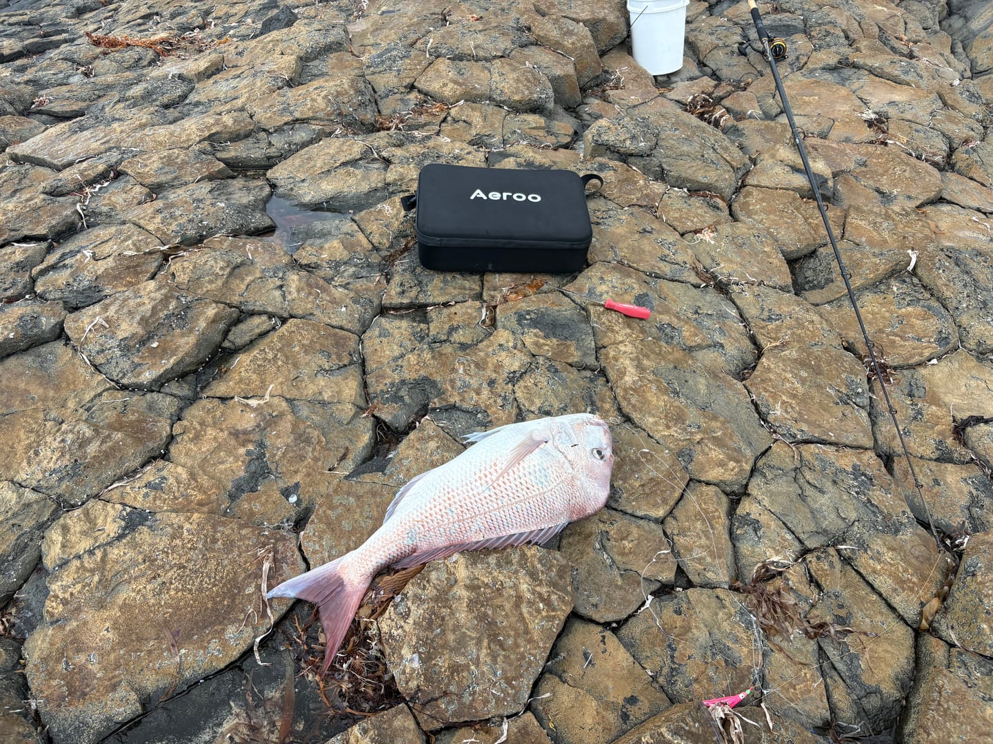 Customer photo review of AI Flight Battery