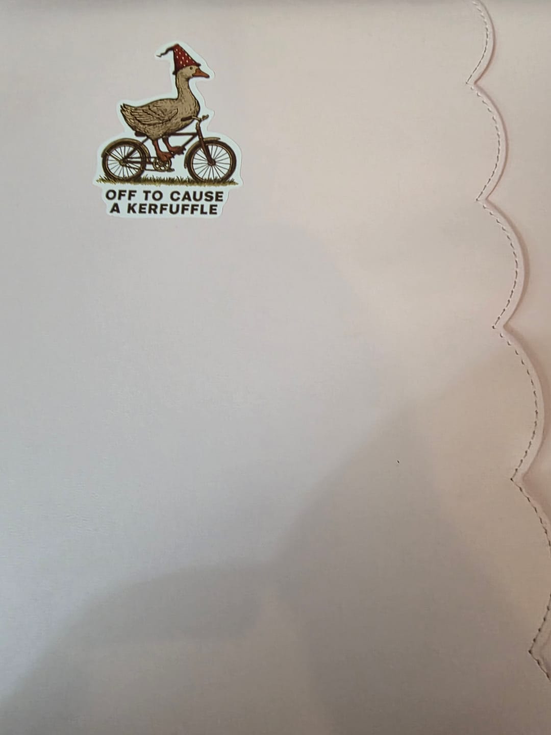 Customer photo review of Luxe Zip-up Planner Folio - Blush - Large