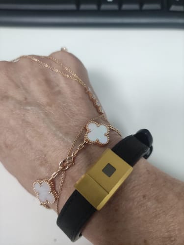 Customer photo review of The Gold Stability