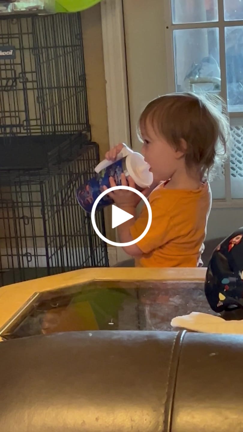 Customer video review of Monster Truck Spill Proof Kids CREWCUP 20oz