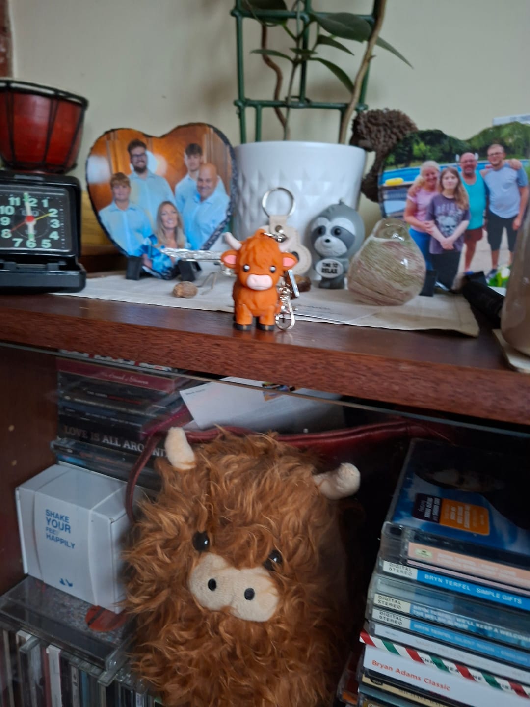 Customer photo review of 🐮A Little Highland Cow For You Keychain: Your Daily Reminder of Quiet Strength