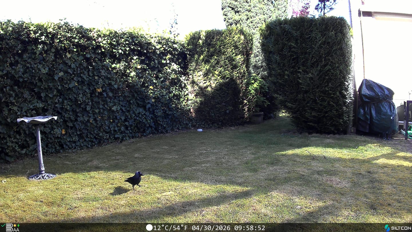 Customer photo review of Siltcon® Wildcamera met Zonnepaneel 8K