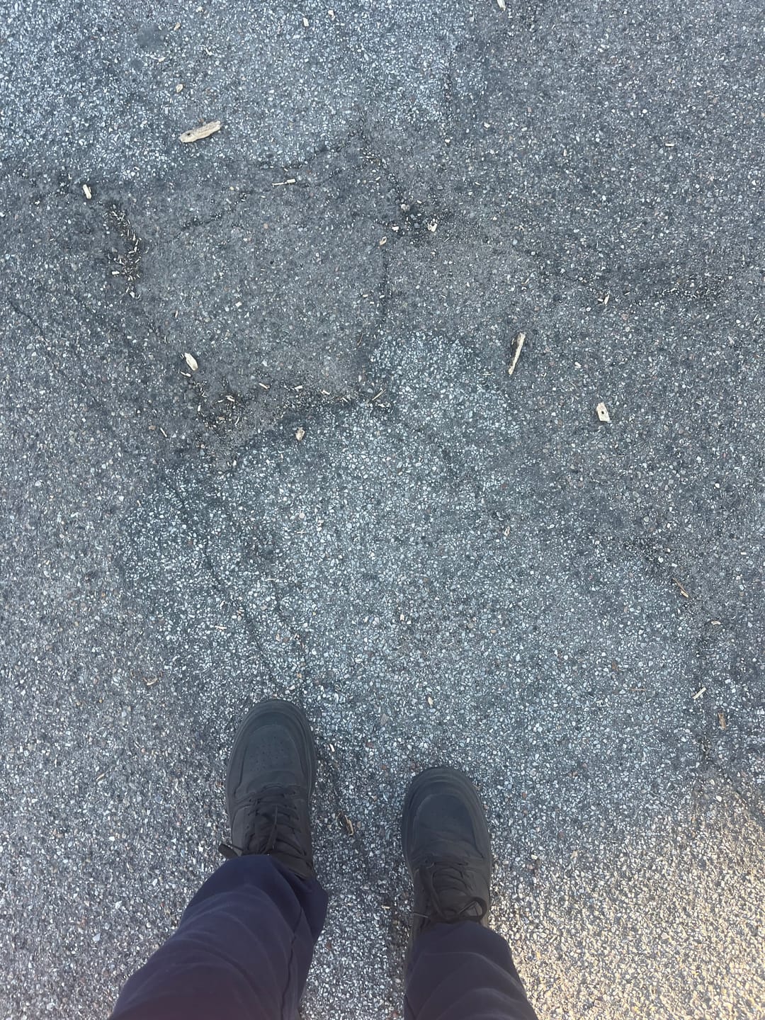 Customer photo review of Dravik - 11cm (4.3")