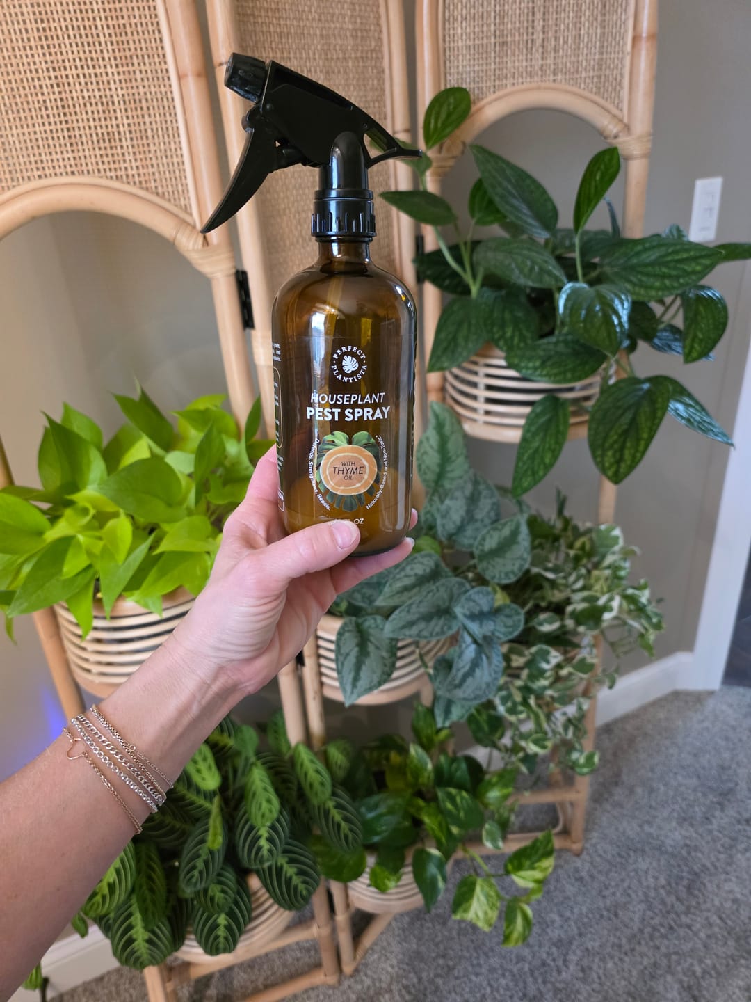 Customer photo review of Houseplant Pest Spray Concentrate