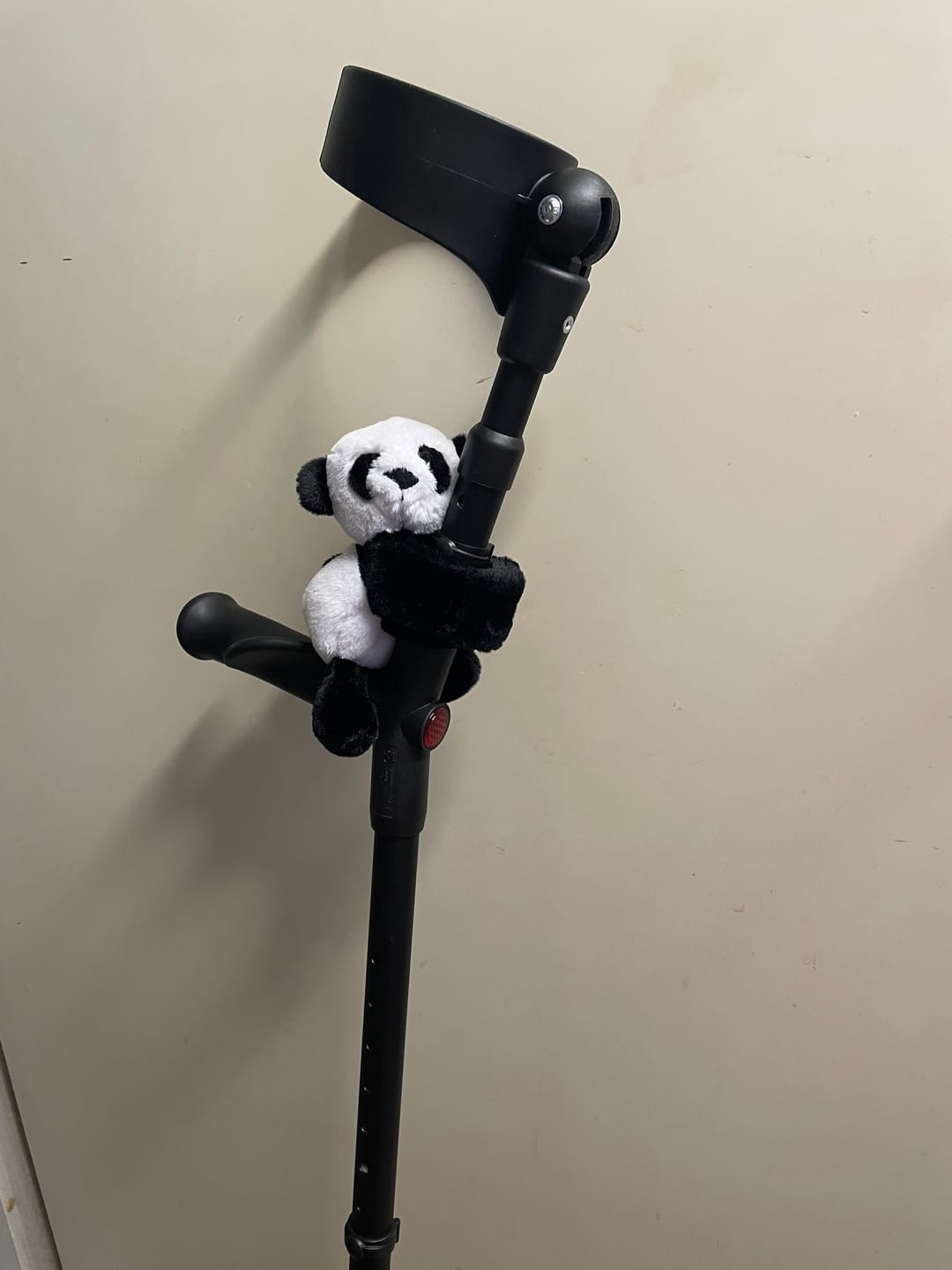 Customer photo review of Mini Lotgenootje Panda
